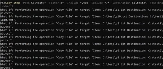WhatIf parameter