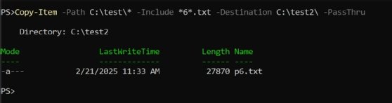 Include parameter in PowerShell