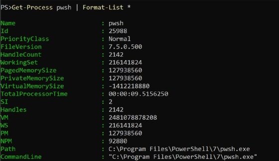 process list format