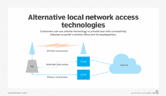 A diagram showing alternative strategies for local network access