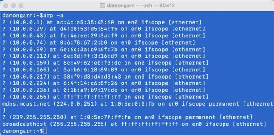 Screenshot that shows the deletion and repopulation of ARP cache.