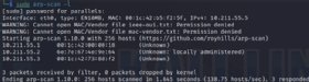Screenshot of an arp-scan output