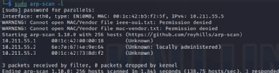 Screenshot of arp-scan responses