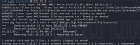 screenshot of expanded results from an arp-scan