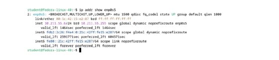 Screenshot of an example NIC configuration, including MAC and IP addresses.