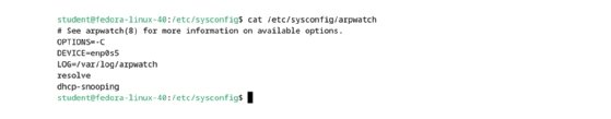 Screenshot of configuration options in arpwatch