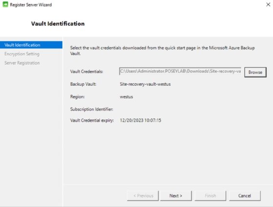 Screenshot of Vault Identification window.