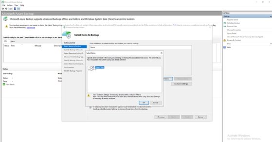 Screenshot of user selecting items to back up in the Schedule Backup Wizard window.
