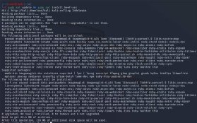Screenshot of installing BeEF in Kali