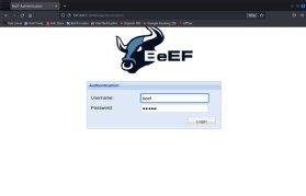 Screenshot of BeEF login screen