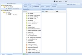Screenshot of hooked browsers in BeEF