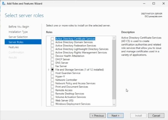 Screenshot of the Add Roles and Features Wizard showing the server roles selection screen in Server Manager.