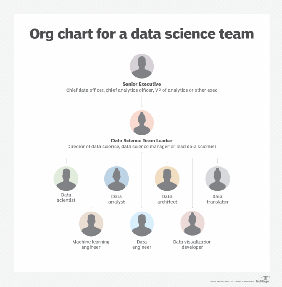data science team