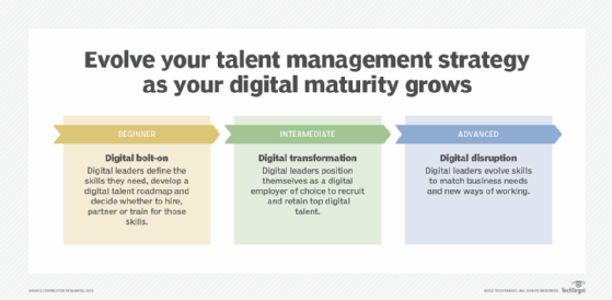 Evolve your talent management strategy as your digital maturity grows