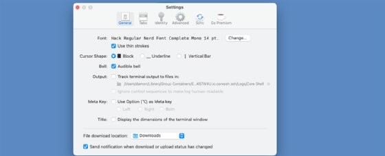Screenshot of the Core Shell settings options.