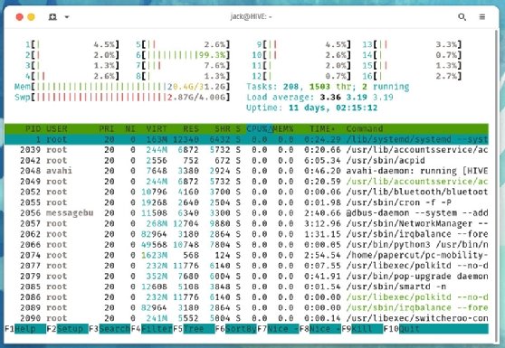 View real-time statistics with htop.