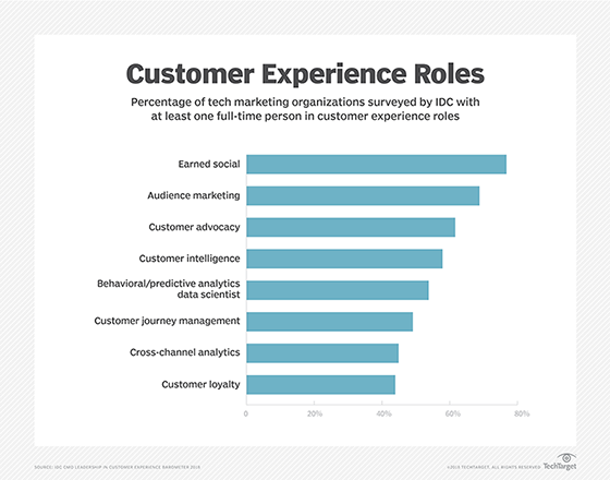 customer experiences roles