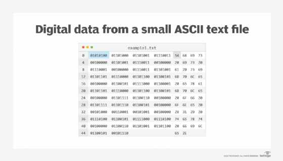 Digital data from a small ASCII text file