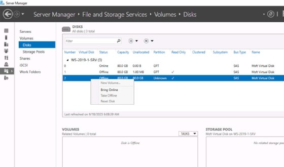 Screenshot of Windows Server Manager showing how to bring connected storage devices online through File and Storage Services.