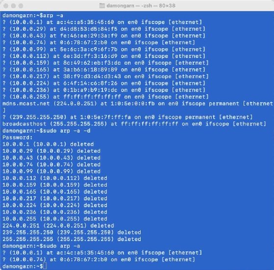 Screenshot that shows the use of the arp-a command to display ARP cache.