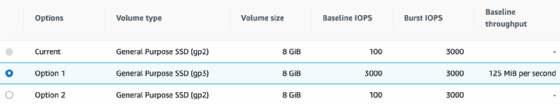 Display of options, volume type, volume size, baseline IOPS, burst IOPS and baseline throughput.