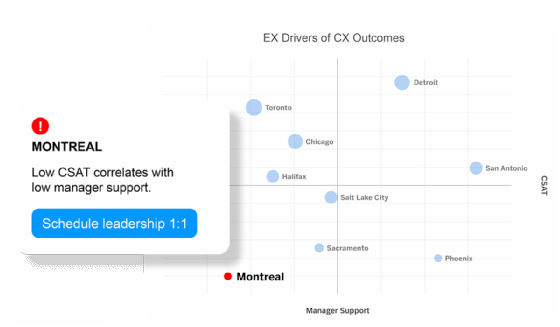 Qualtrics CrossXM example widget screenshot