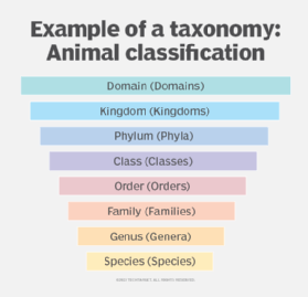 Infographic of examples of a taxonomy: Animal classification.