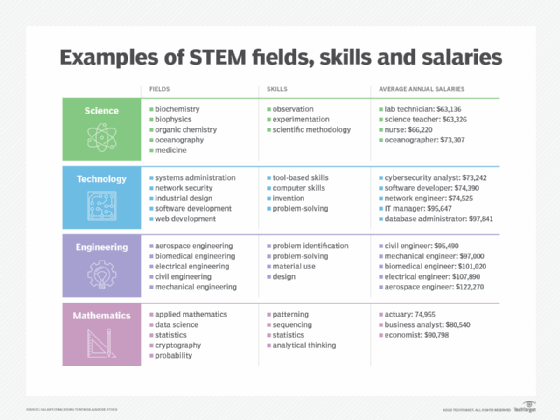 STEM career breakdown chart