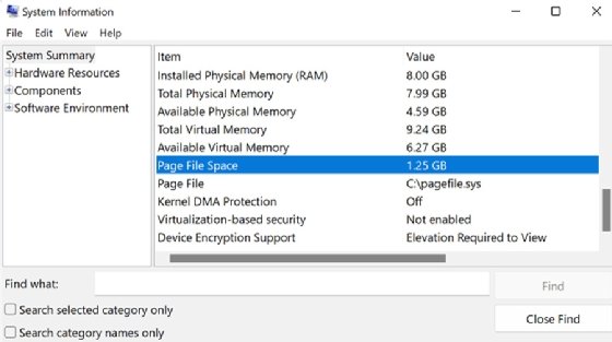 Windows System Information app.