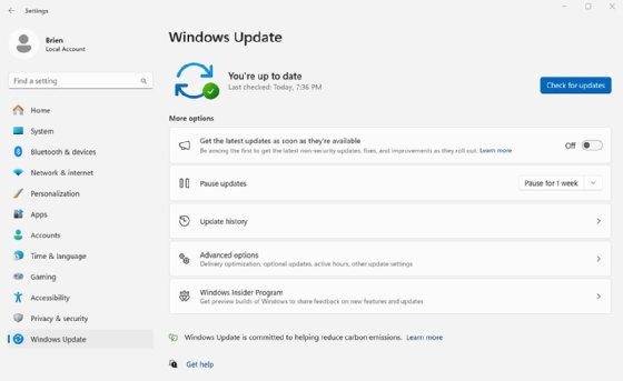 The Windows settings subcategory, Windows Update, displayed on a Windows 11 desktop