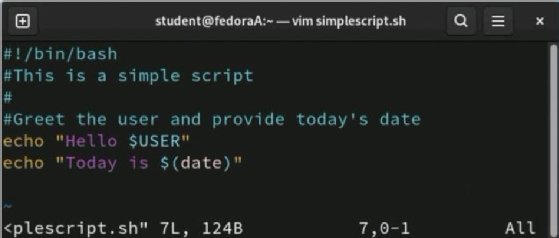 Code screenshot of writing the file.