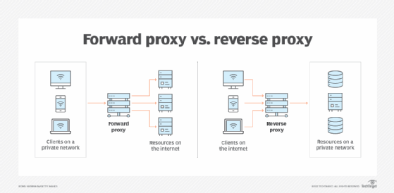 A diagram showing forward and reverse proxies.