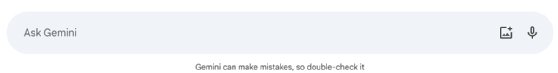 Screenshot of Gemini interface with a text input field and warning to double-check responses for accuracy.