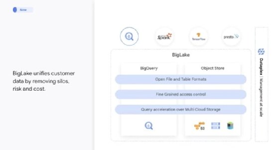 Screenshot of BigLake from Google