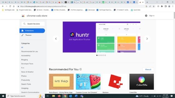 Screenshot of Chrome Web Store page for browser extensions.