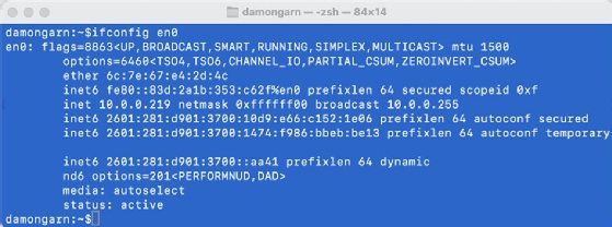 Screenshot that shows the host identity information that includes MAC addresses and IP addresses.