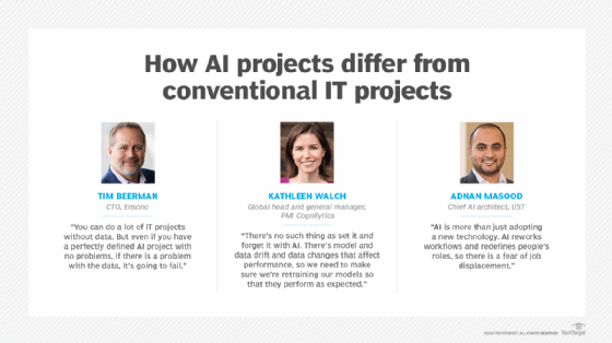 Managing AI projects.