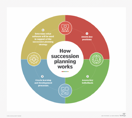 graphic of steps in succession planning