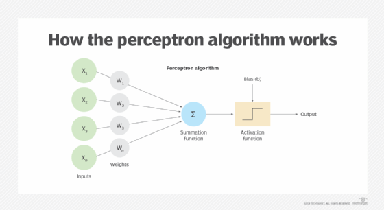 perceptron algorithm diagram