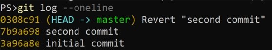 Git history after reverting previous commit