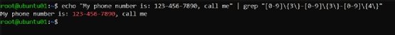 The screenshot shows the output of running a Bash command to search a string for occurrences of phone numbers using grep's standard regular expression syntax.