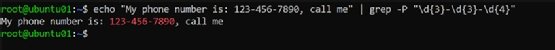 The screenshot shows the output of running a Bash command to search a string for occurrences of phone numbers using a regular expression with grep. The command adds the -P parameter to access the Perl engine.