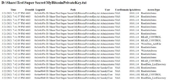 file access report