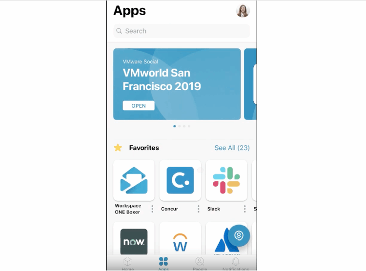 VMware Hub Assistant