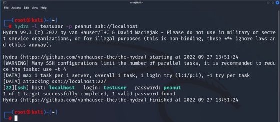 Screenshot of Hydra using constant username/password values