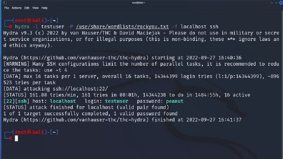 Screenshot of Hydra using wordlists