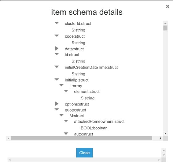 Item schema details