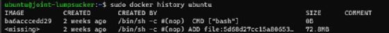Screenshot of the layers of an Ubuntu image