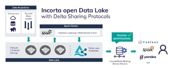 Screenshot of Incorta Delta Sharing dashboard