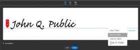 Adobe Acrobat customized typed e-signature style screenshot